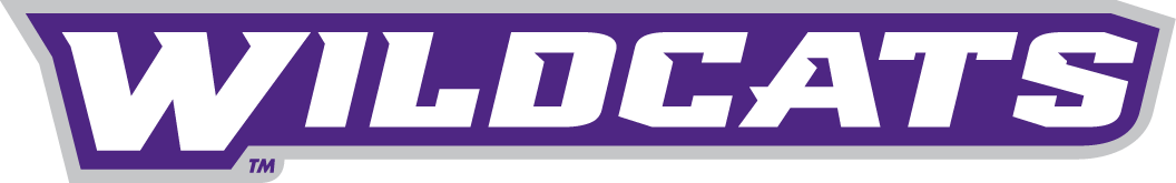 abilene christian wildcats 2013-pres wordmark logo diy DTF decal sticker